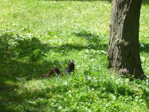 カナダの夏休み