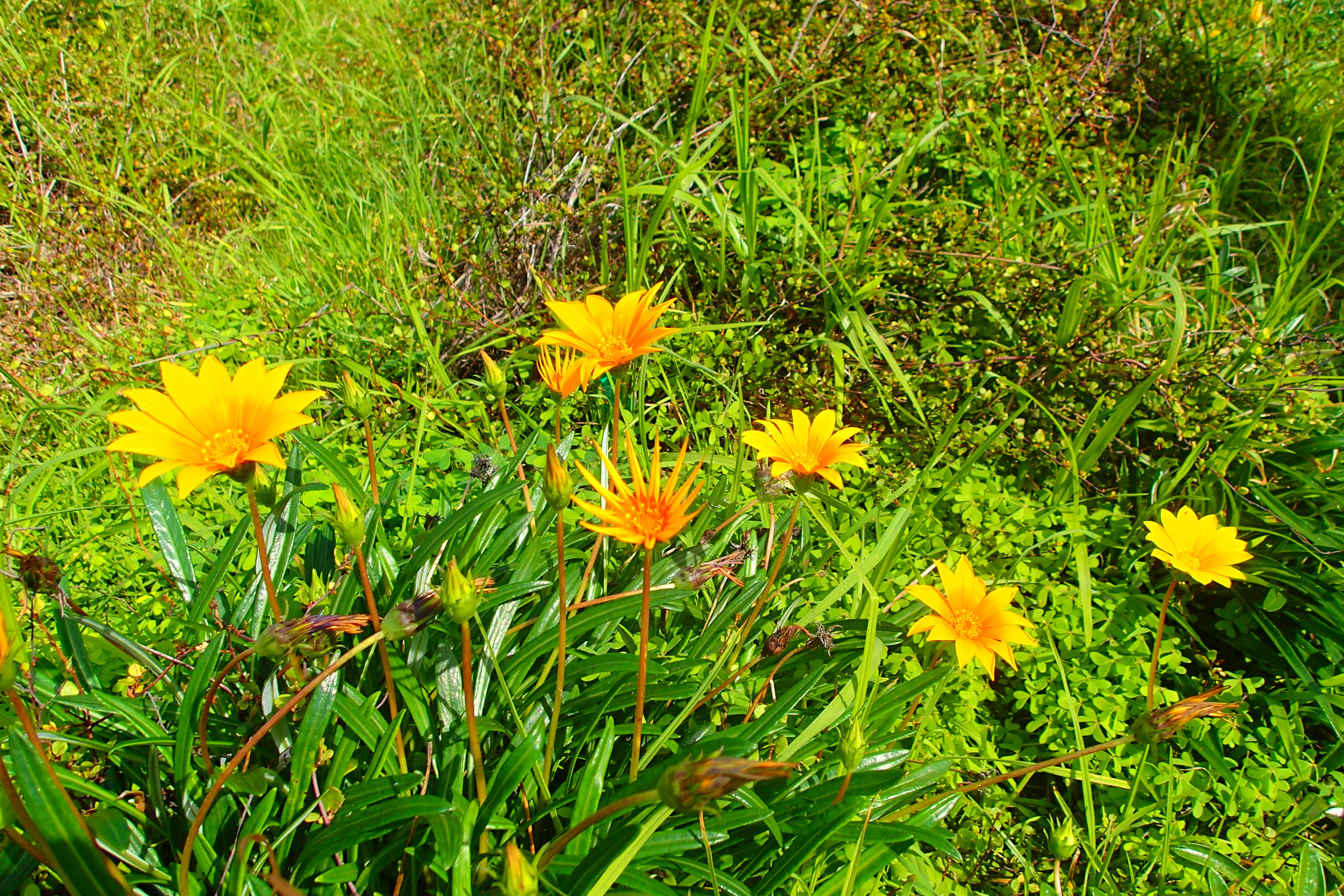 時間の概念について@NZ