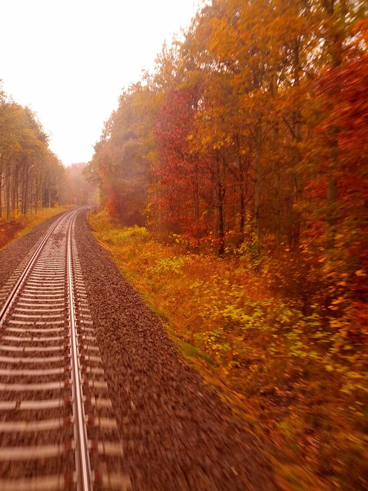 特別支援が必要な子供たち@デンマーク
