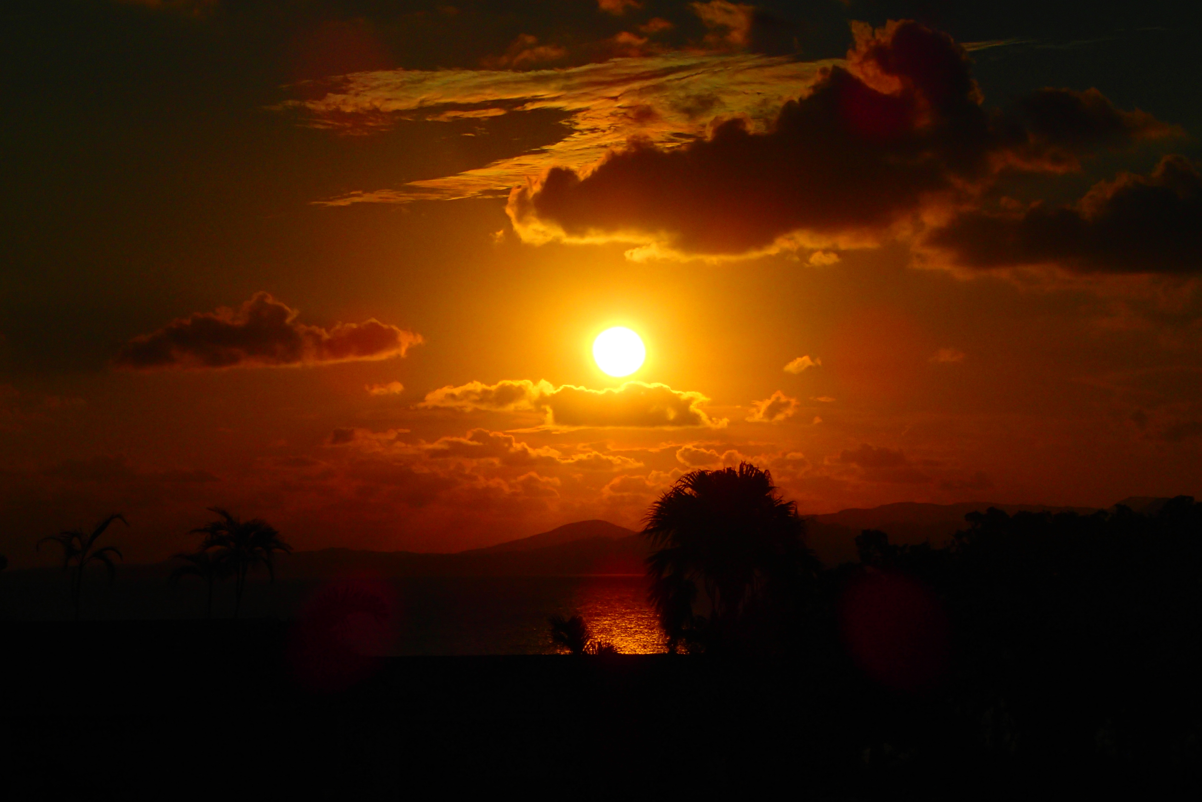 日本と比較した海外のここが便利、良いところ!@NZ