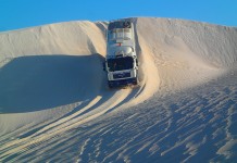 知っておきたい!交通事情@NZ