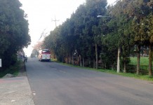 不思議の島、チェジュド!@韓国