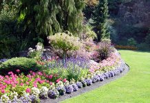 友達を作って英語ライフを充実させよう@カナダ