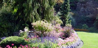 友達を作って英語ライフを充実させよう@カナダ