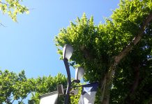 「パリ症候群」の処方箋