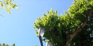 「パリ症候群」の処方箋