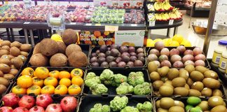 豪州のバックパッカータックスは半年間の導入延期