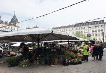 デンマークで流行っているもの・・・今はこれ!