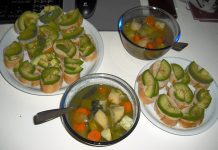 菜食生活の傾向@ドイツ