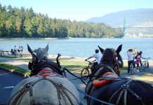 アメリカ旅行だって楽しめる! 夏のバケーション@カナダ