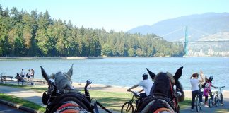 アメリカ旅行だって楽しめる! 夏のバケーション@カナダ