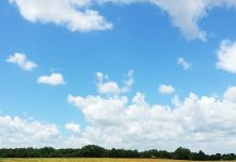 南仏ってどんなところ?(前編)