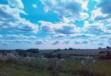 携帯電話を使う@でんまーく