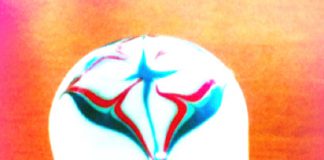 これは必要!・いらなかったアイテム@NZ(前編)