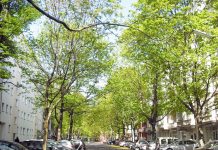 持ってきたけど要らなかったアイテム@ドイツ