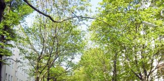 持ってきたけど要らなかったアイテム@ドイツ