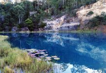 「B級観光スポット」を楽しもう