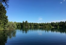 ドイツのワーキングホリデー 「入国」から「住民登録」までの体験談