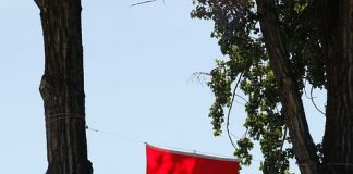 カナダのワーホリビザ 2016年分の終わりが見え思うこと