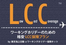 保険料半減でワーキングホリデーの負担を大幅に軽減 東京海上日動らが共同開発