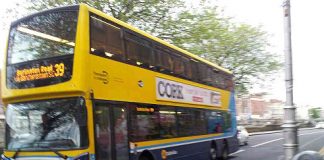 日本とは似ているようで違いすぎる? アイルランド生活の流儀