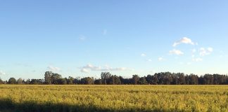 オーストラリアの『バックパッカー税』は導入見送りか?