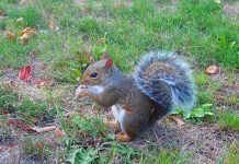 ワーキングホリデー『窮地に立たされれば人は自ずと頑張れる!』プランとは?