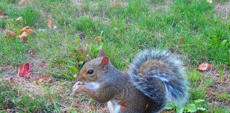 ワーキングホリデー『窮地に立たされれば人は自ずと頑張れる!』プランとは?