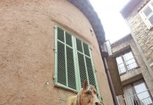 「南仏で一人暮らし」の費用