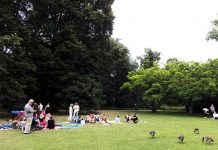 常に動き続けるドイツ経済と付き合うには?