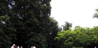 常に動き続けるドイツ経済と付き合うには?