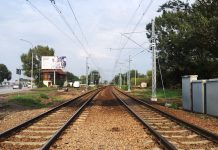 ポーランドで日本について訊かれること