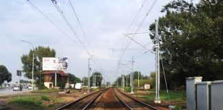 ポーランドで日本について訊かれること