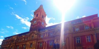 ニュージーランドのワーキングホリデーでの「仕事の見つけ方」