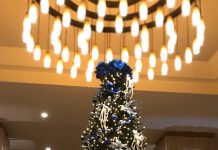 日本とは違う!?クリスマスの過ごし方@ニュージーランド