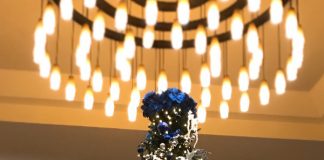 日本とは違う!?クリスマスの過ごし方@ニュージーランド