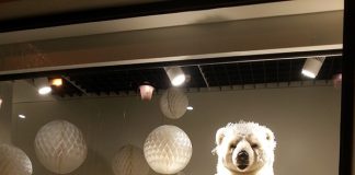 徹底比較!?フランスと日本の年末年始