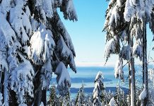 平日感いっぱいで迎えるカナダのお正月