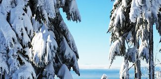 平日感いっぱいで迎えるカナダのお正月