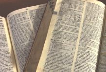 ワーキングホリデーにはどれくらいの英語力が必要?(後編)