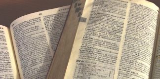 ワーキングホリデーにはどれくらいの英語力が必要?(後編)