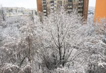 ポーランドでは友達とワイワイして過ごす年末年始