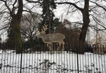 Wesołych Świąt!日本とは全然違うポーランドのクリスマス