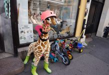 ノルウェーから・国外に住んでみてわかった大切な事