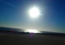 ニュージーランドで迎えるお正月模様