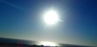 ニュージーランドで迎えるお正月模様