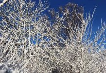 デンマークでのワーキングホリデーは英語で全く問題なし!