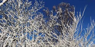 デンマークでのワーキングホリデーは英語で全く問題なし!