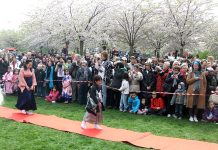 ホームシック? ならコペンハーゲンの桜祭りは?