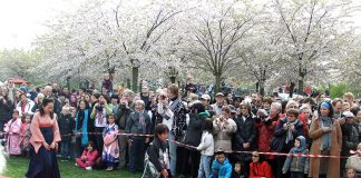 ホームシック? ならコペンハーゲンの桜祭りは?